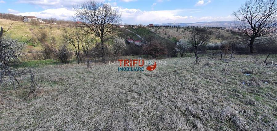 Teren 1654 mp zona Cetate Schit - 6