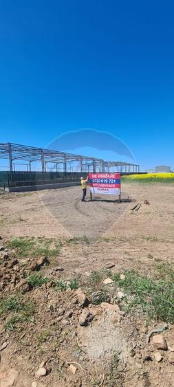 Teren 5,000mp Dobroesti / None