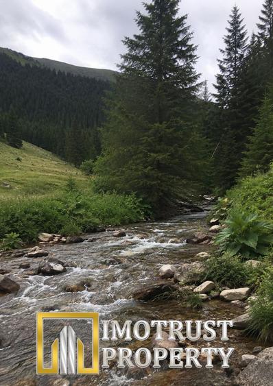 Teren cu acces la râu în Stejar – ideal pentru cabane sau retreat