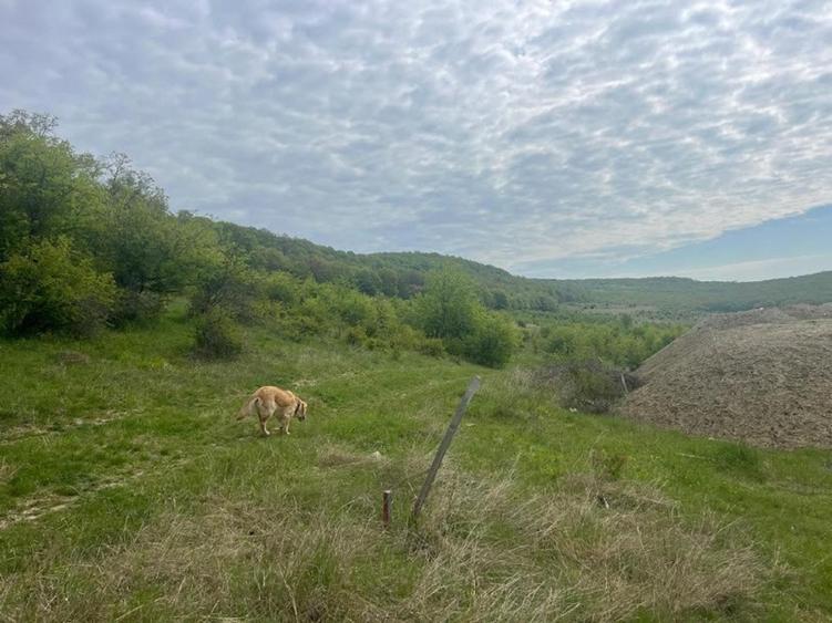 Teren intravilan Corunca – 1000 mp – vedere panoramică 180° + acces pădure – ult