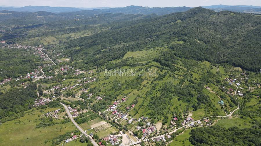 Teren spectaculos cu padure, livada si priveliste panoramica in Soimari PH - 8