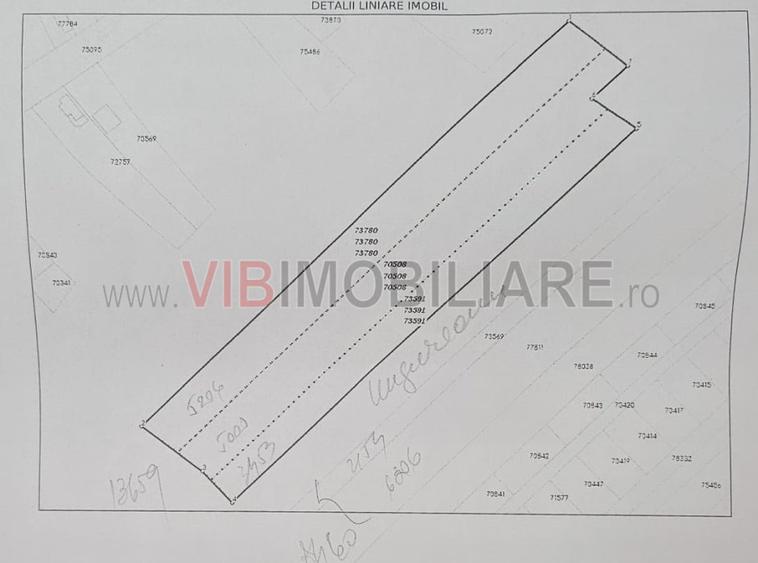 Racari - Teren - 13659 mp - intravilan - constructii