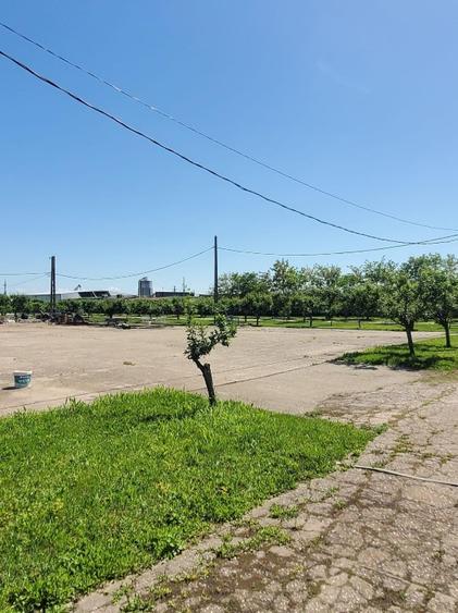 Oportunitate de investiții la km 70 Autostrada Bucuresti-Pitesti!