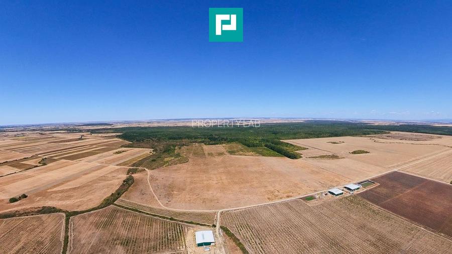 Teren intravilan agricol 558.500 mp Chevereșu Mare - 5