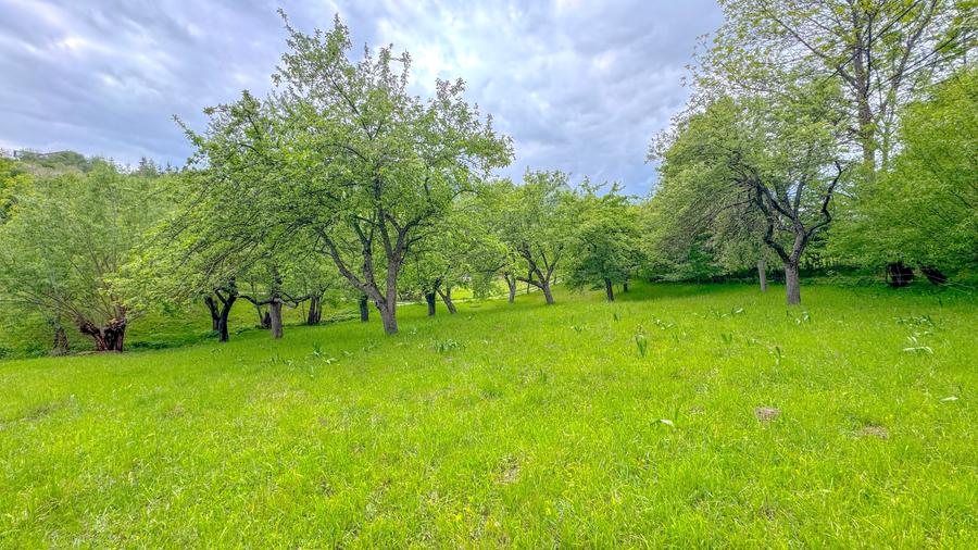 Teren 1500mp, intravilan cu utilitati, in proximitatea complexului Vila Bran