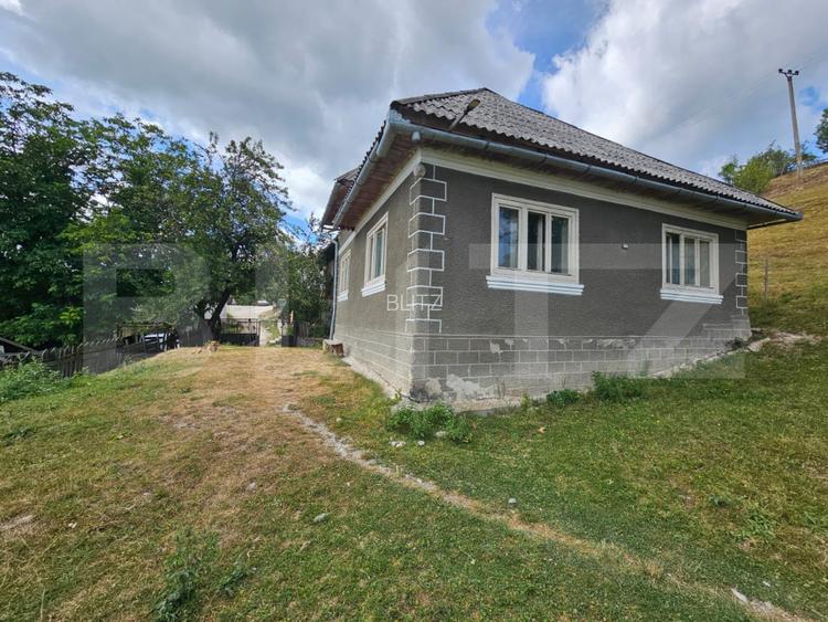 Proprietate cu 2 case, 120 mp, teren 1.855 mp, Vadul Moților - 7