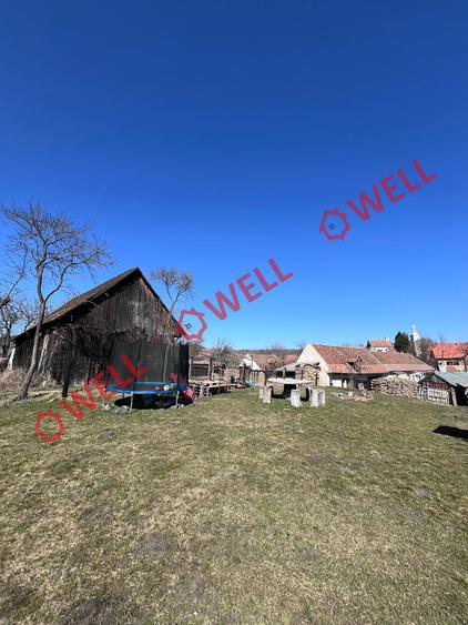 Casă de vânzare în Valea Crișului!