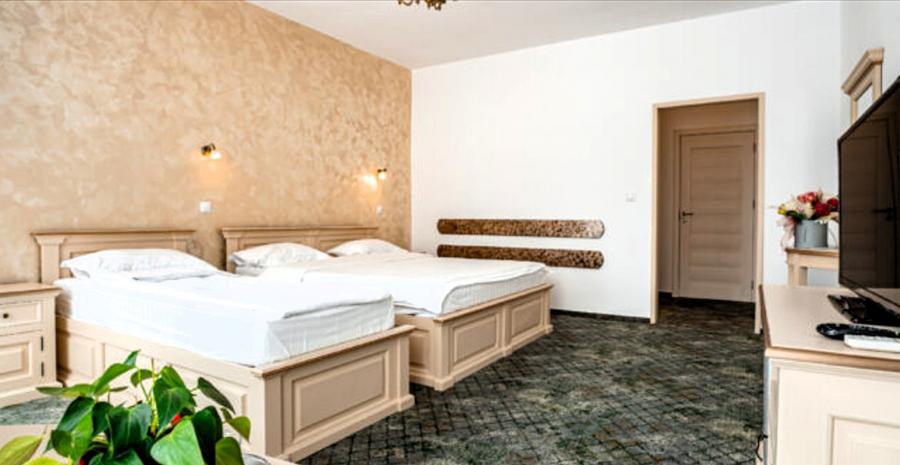 Hotel 20 camere zona centrala