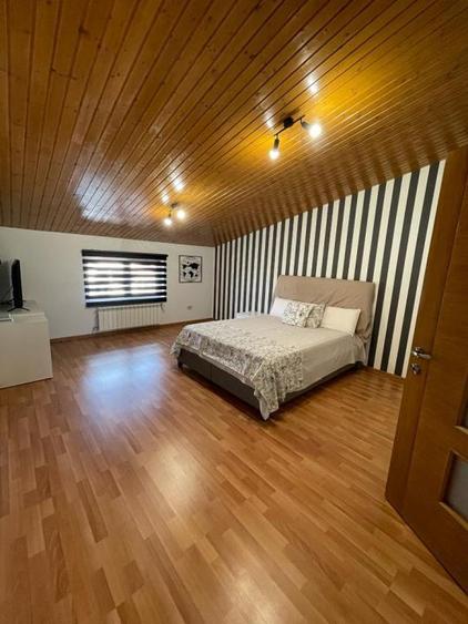 Pantelimon-Cernica, vila cu 6 camere de vanzare, 284 mp construiti