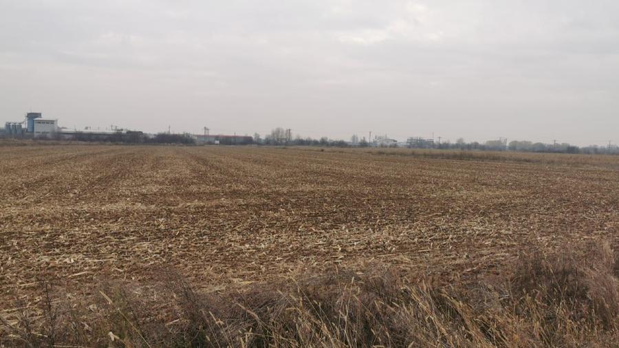 Teren Exclusiv 4.550 mp Ciolpani - Zona Narrative / Pădurea Snagov