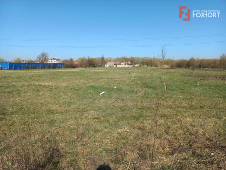 Teren intravilan – oportunitate investitie – zona Centura Timisoarei