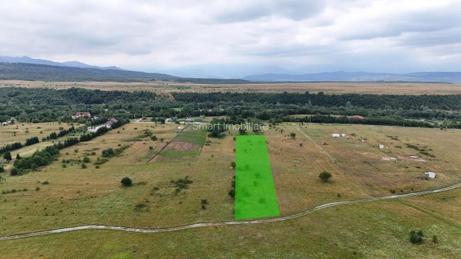 Teren intravilan 5000mp Valea Avrigului - 5