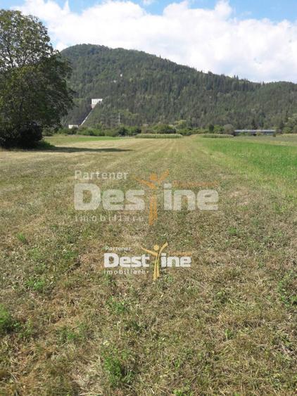 Teren de vanzare Pangarati 58.000 Euro 4488mp Intravilan