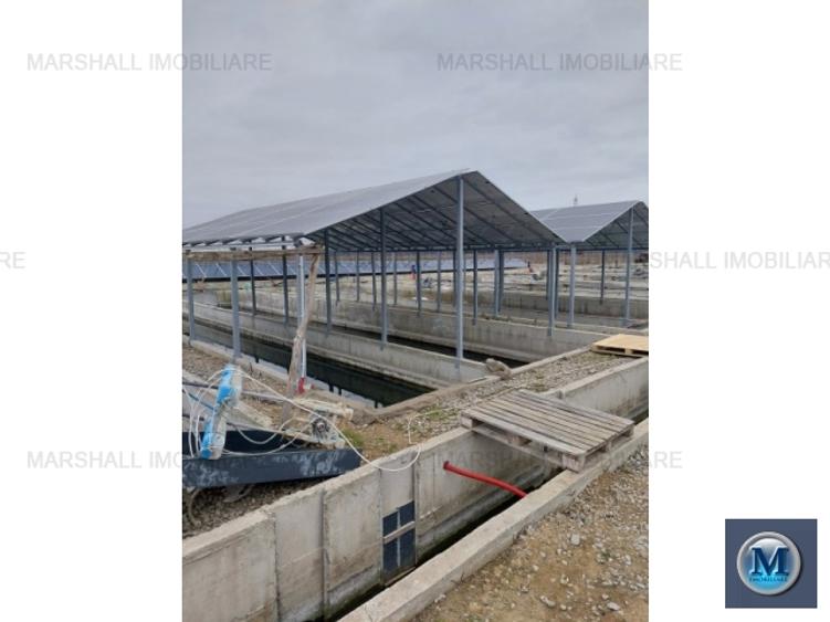 Spatiu industrial de vanzare, 2560 mp #15268