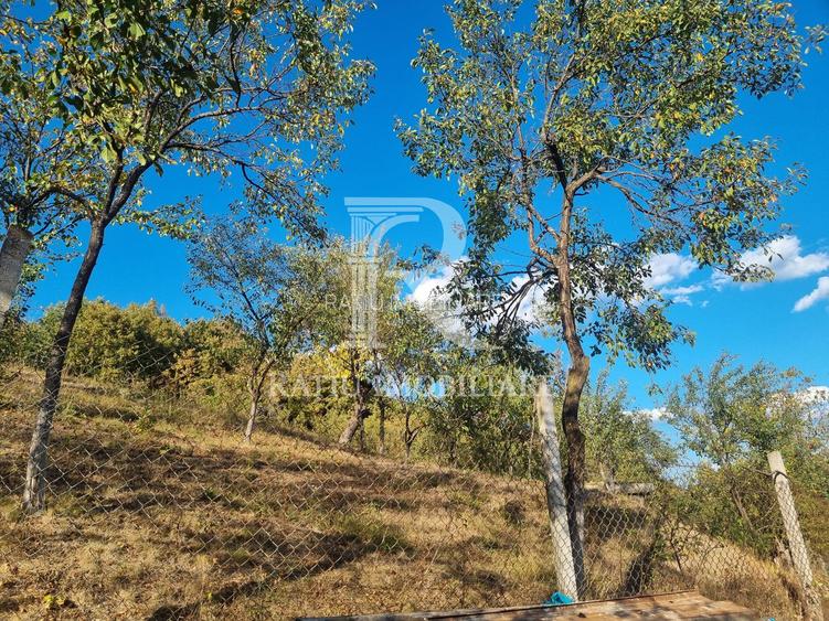 Casă renovata cu teren generos | Anexe | Gurasada | Hunedoara - 45