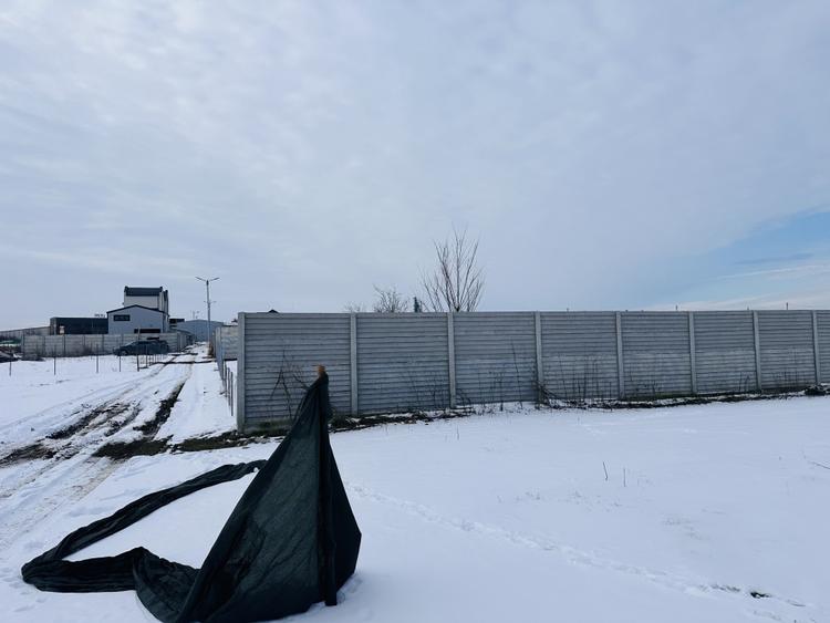 Teren intravilan 600 mp, zona Luceafarului-Stelelor, imprejmuit, Chiajna