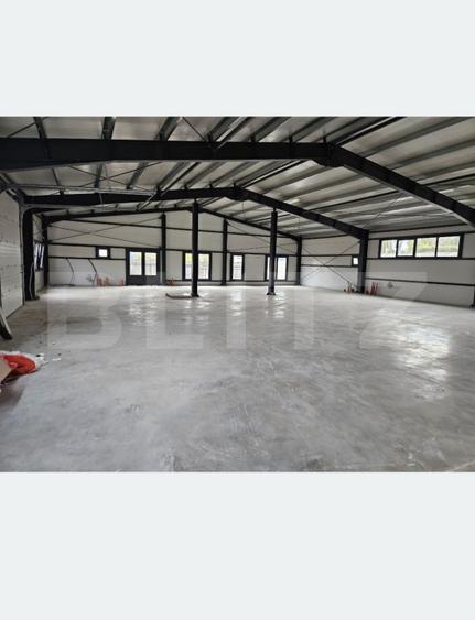 Vanzare Hale industriale