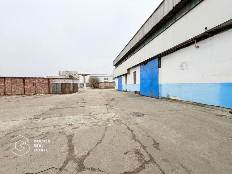 Hala industriala cu pod rulant, Sanicolau Mic, suprafata 1.187 mp