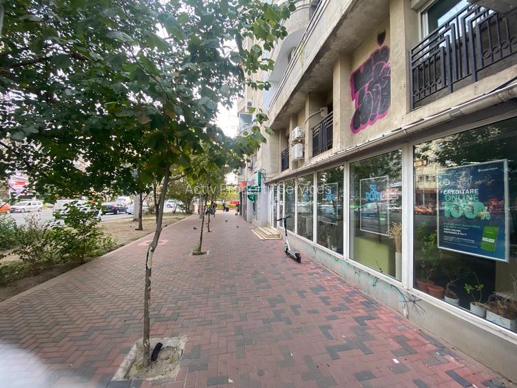 Spatiu comercial de vanzare pe Bulevardul Corneliu Coposu 3-5 - 2