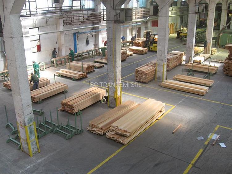 Hala industriala de 2700mp cu 3,1 ha teren intravilan in Miercurea Sibiului - 13