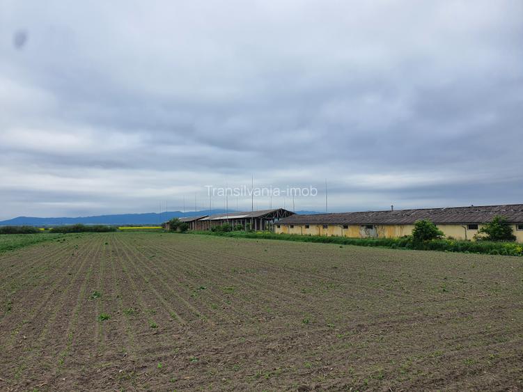 Teren Industrial Brasov - Halchiu cu deschidere la DN 13 - 2