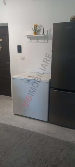 Apartament 1 cameră, mobilat și utilat – Calea Urseni