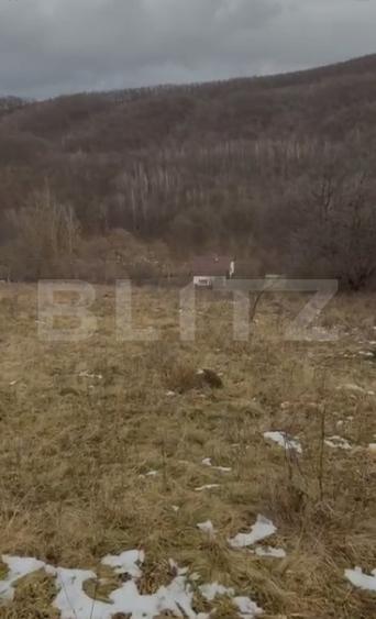 De vanzare Teren extravilan 3300mp - padure, loc. Salicea, jud. Cluj