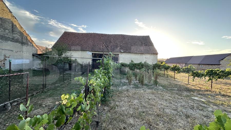 Casa 163 mp, teren 3.446 mp, zona Beriu - 15