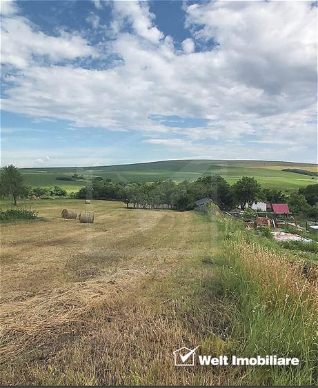 Teren intravilan constructie case, Rediu