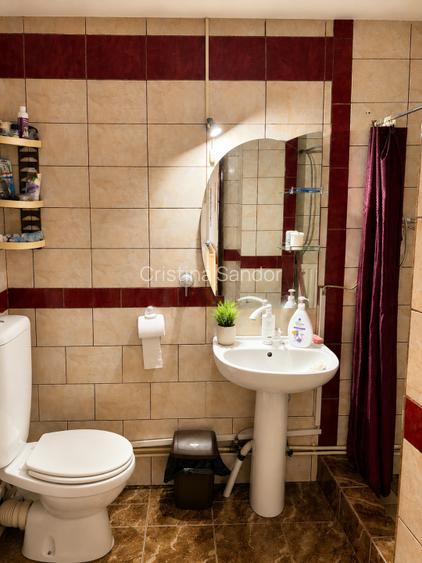 Vând urgent, casa mobilată + teren 1.336 m², Gurbediu, Bihor – locuibilă imediat - 8