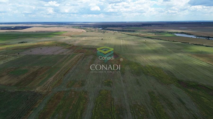 Teren Intravilan - Giurgiu || Comuna Bulbucata - 15,4 Ha
