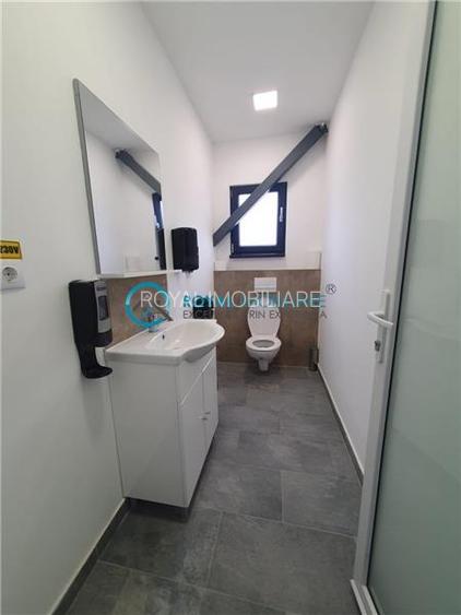 Royal Imobiliare - Vanzare spatiu industrial in zona Paulesti - 12