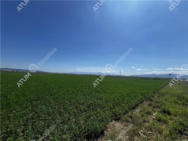 Teren intravilan de 19264 mp situat in zona Industriala Vest din Sibiu - 5