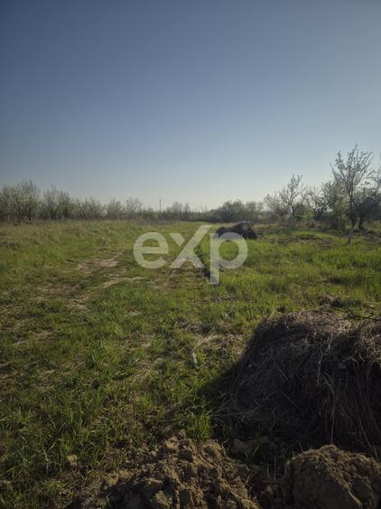 De vanzare teren la munte , in Rucar , zona Iezer Papusa, Arges,