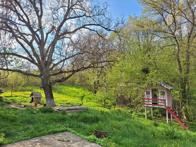 Moșia boierească din vârf de deal, Scorțeni - Prahova!