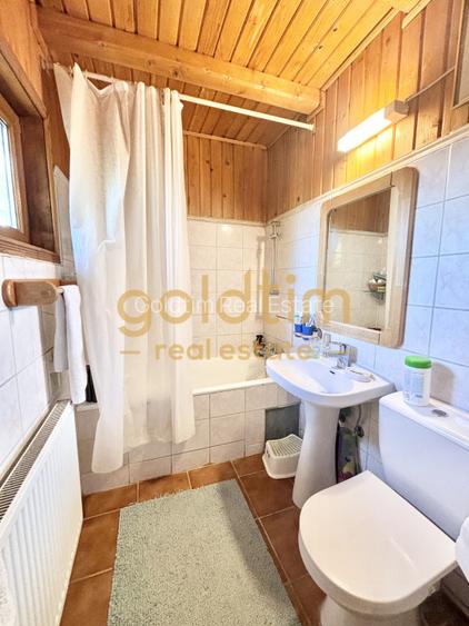 CASUTA DIN POVESTI/CURTE 1100MP/GRADINA MAGICA/SAUNA/PISCINA/SNAGOV - 25