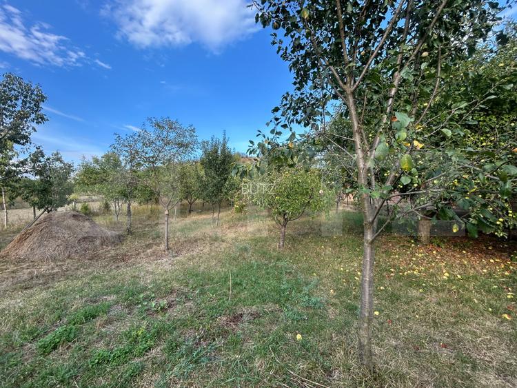 Casa de vanzare, 3 camere, 105 mp, teren 2.327 mp, zona Bucerdea Granoasa - 6