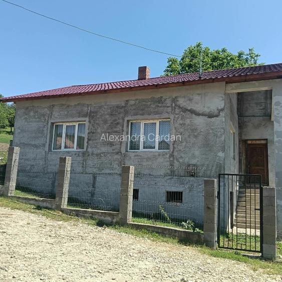 Casa de vanzare cu teren agricol  - 5