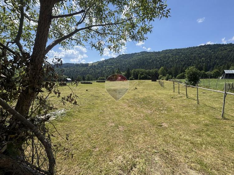 De vanzare | Teren intravilan 2802mp | Sabasa | Borca | Neamt