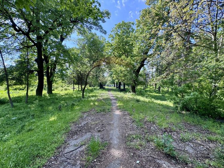 DOMENIU EXCLUSIVIST DE VANZARE – URLATI, PRAHOVA