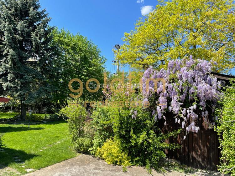 CASUTA DIN POVESTI/CURTE 1100MP/GRADINA MAGICA/SAUNA/PISCINA/SNAGOV - 36