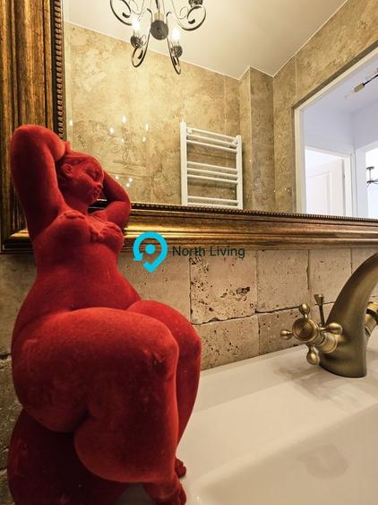 Apartament 2 camere-Piata Victoriei-Doctor Iacob Felix