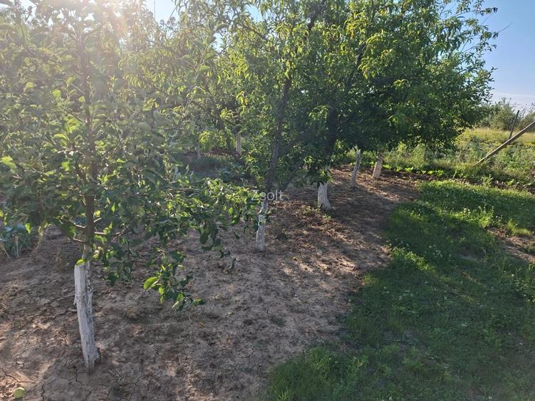 Teren intravilan zona Viile Satu Mare  - 10
