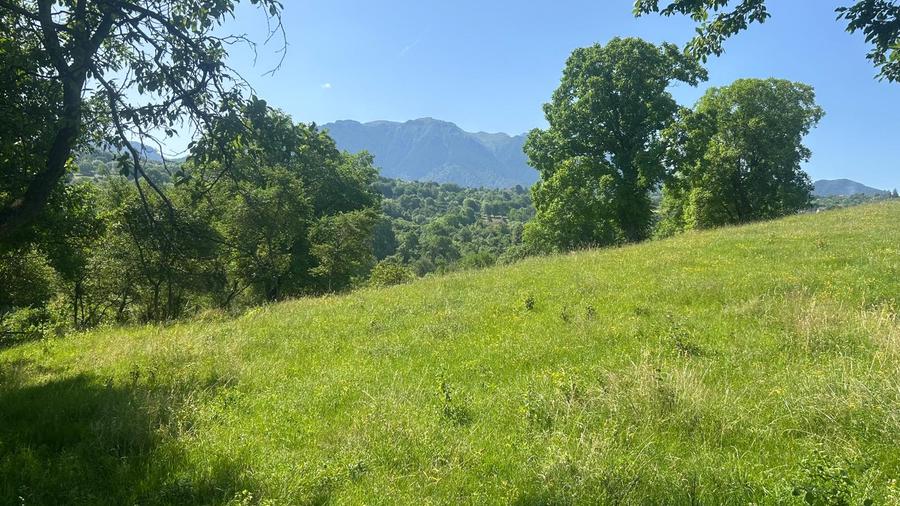 Teren Sohodol cu vedere catre M-tii Bucegi