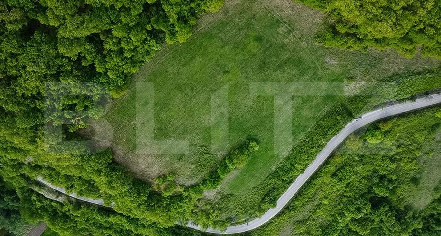 Teren superb, în mijlocul naturii, 18.360 mp, la Cărjiți