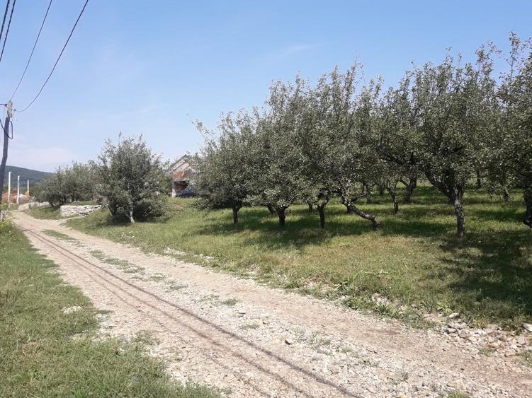 85 ari teren extravilan, intre case, la limita intravilanului Zona Valea Rusului