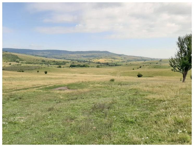 Teren Sercaia 250 ha