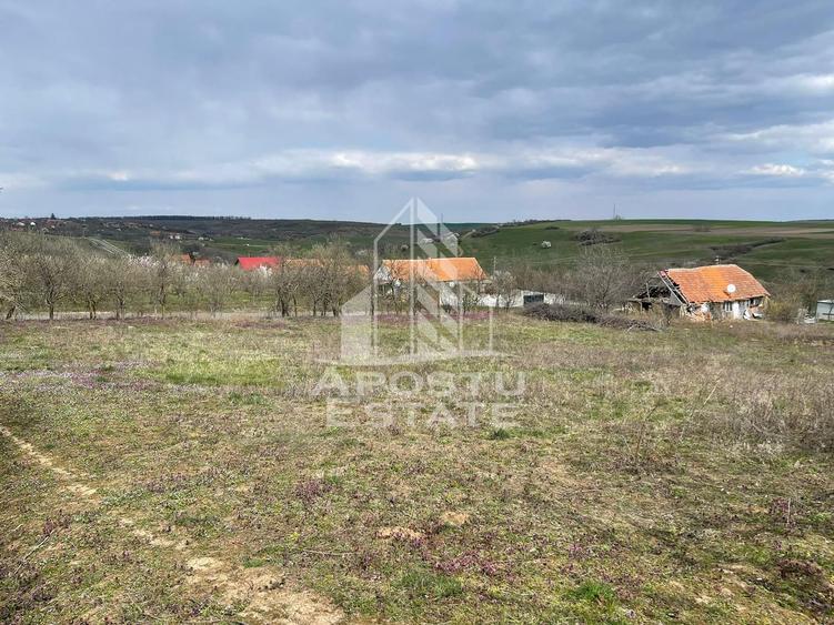 Teren intravilan pentru investitie, 2896 mp, Herneacova Timis