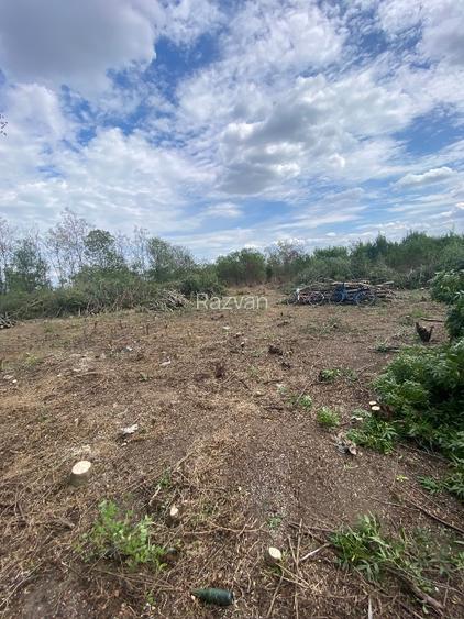 RATE/Terenuri pt casa in Nord,Peris-Snagov-Saftica,toate utilitatile,asfalt - 6
