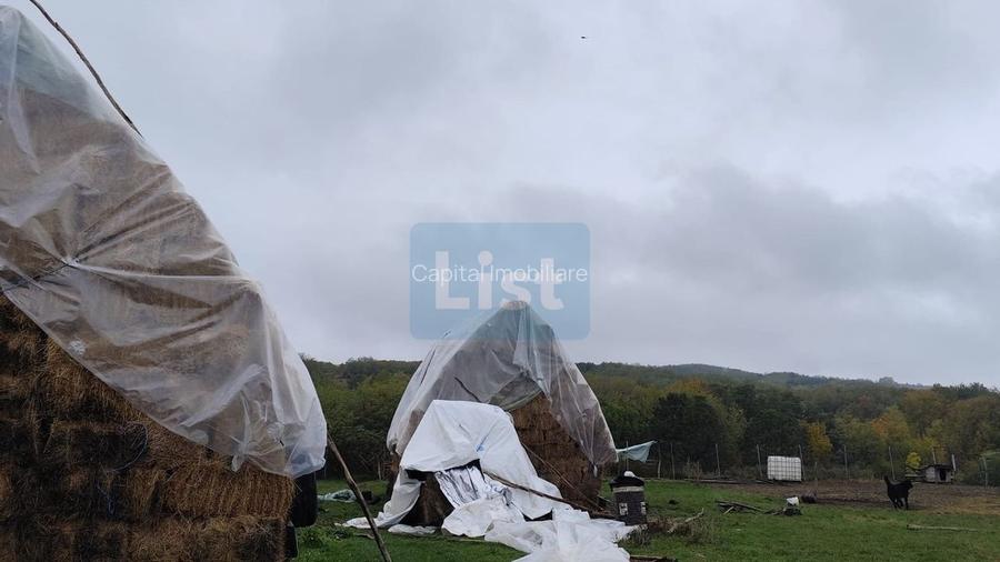 VIla de vanzare Teisani Stubeiu 11250 mp - 7